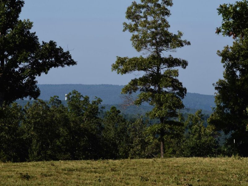 Scenic Wrap-around View : Mountain View : Stone County : Arkansas