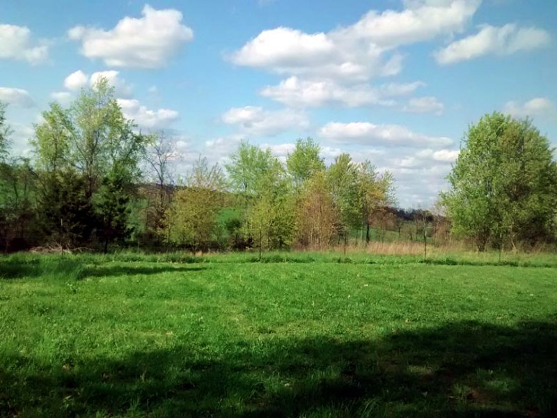 2 Acre Property with Utilities : Mountain View : Howell County : Missouri