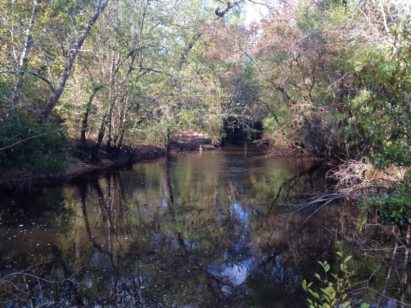 Rec and Timber Tract with Big Creek : Lyons : Toombs County : Georgia