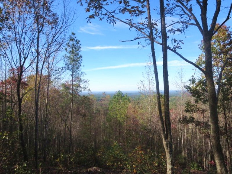 2.17 Acres On Mountaintop W/views : Lineville : Clay County : Alabama