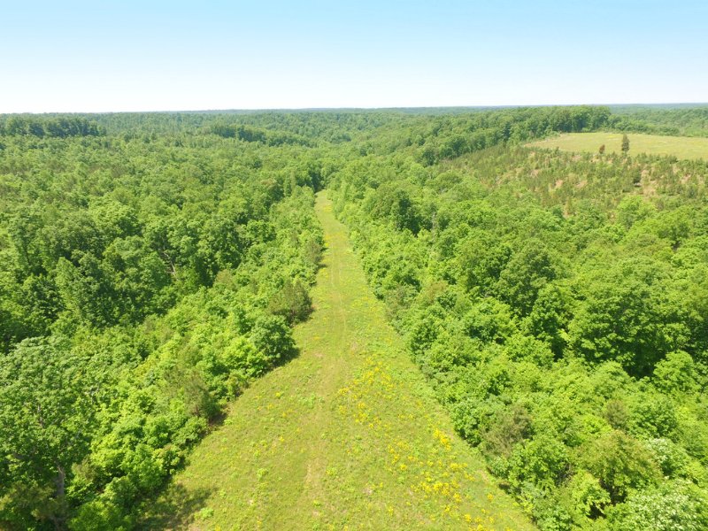 118 Acres : Hohenwald : Lewis County : Tennessee
