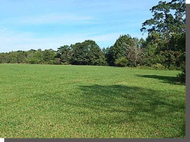 120.00 Acres Cattle Farm Land : Poplarville : Pearl River County : Mississippi