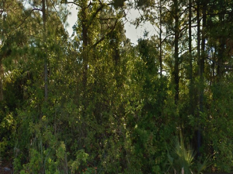 Lot for Sale in Brevard County : Palm Bay : Brevard County : Florida
