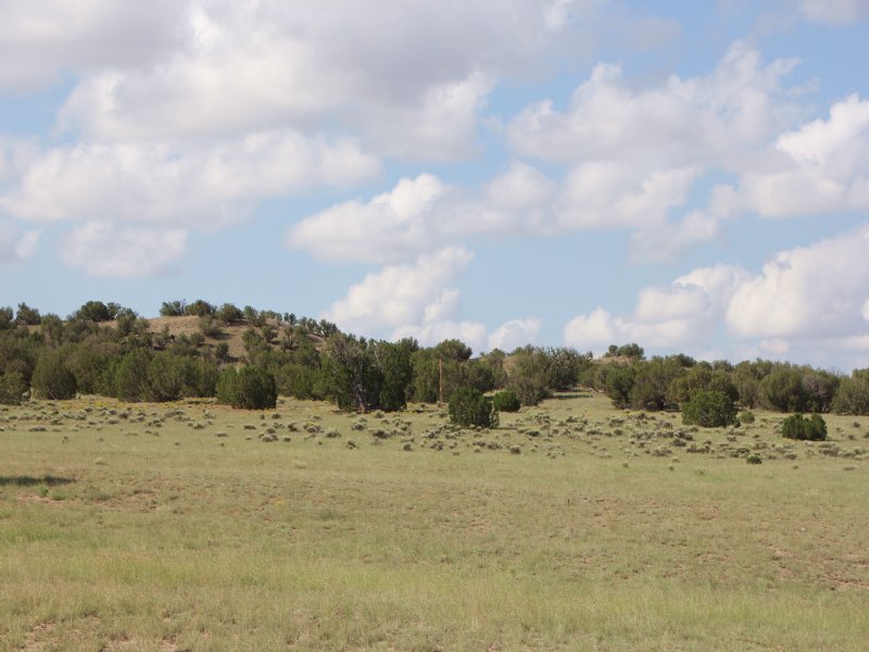Az Wilderness Ranch $115 Mo. : Taylor : Navajo County : Arizona