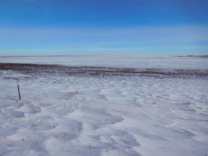 Farm Land for Sale : Willow Lake : Clark County : South Dakota