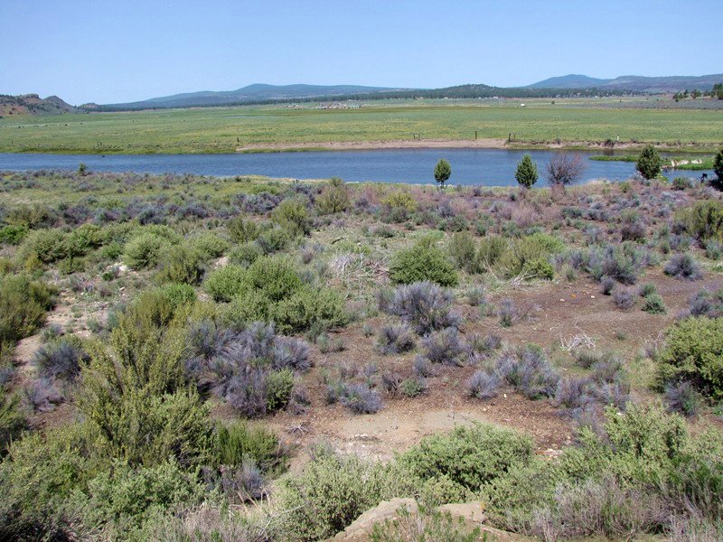 39+ Acres with River Frontage : Sprague River : Klamath County : Oregon