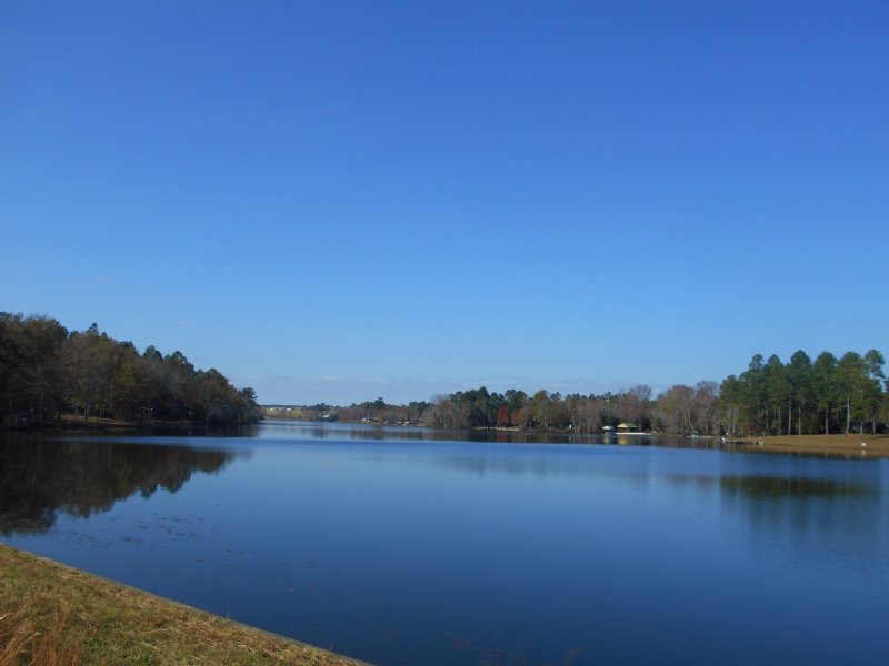38.85 Wooded Acres Lake Frontage : Reynolds : Taylor County : Georgia