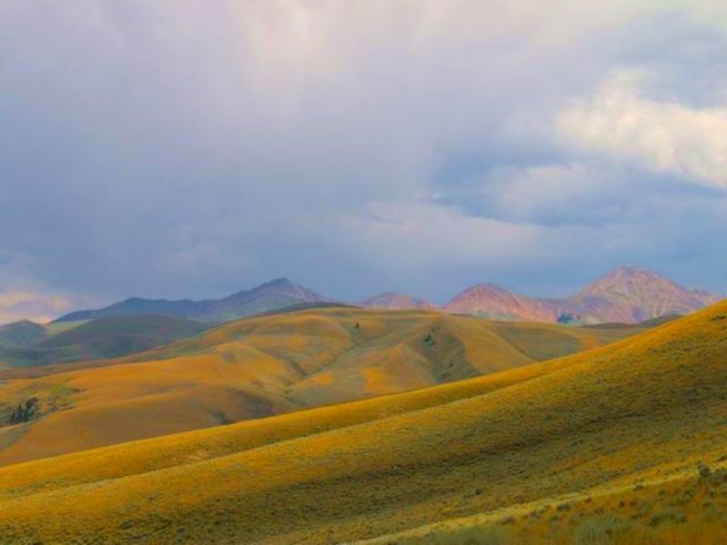 Little Sheep Creek Hunting & Ca : Lima : Beaverhead County : Montana