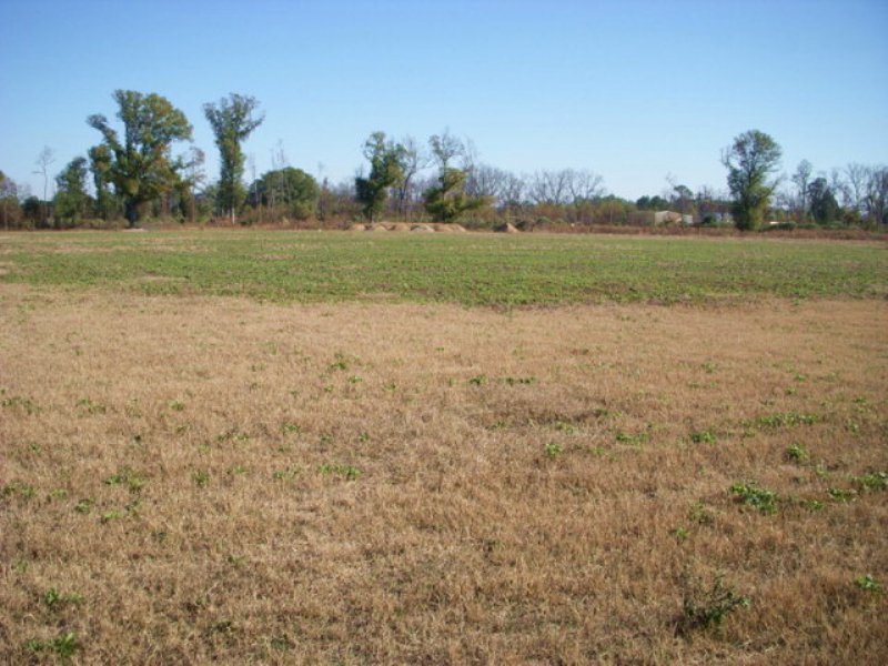 Nice Building Lot - Will Divide : Fitzgerald : Ben Hill County : Georgia