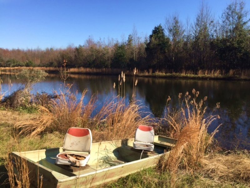 Nice Pond, Homesite + Hunting : Macon : Bibb County : Georgia