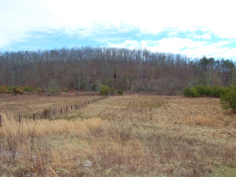 115 Beautiful Acres in Crossville : Crossville : Cumberland County : Tennessee