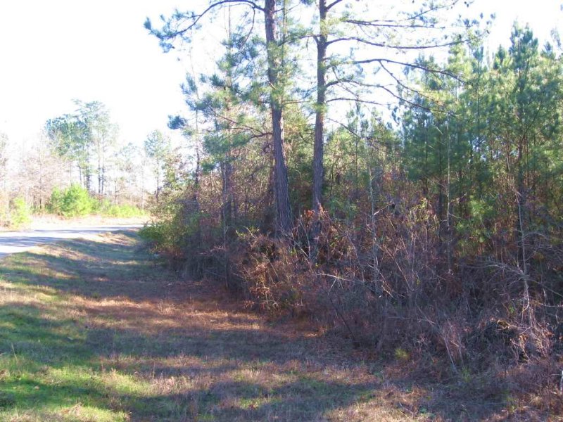 140 Ac Hunting/timber Tract : Camden : Madison County : Mississippi