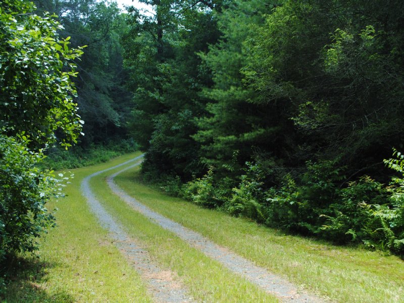 Beaumont Drive, Cedar Moutain : Cedar Mountain : Transylvania County : North Carolina