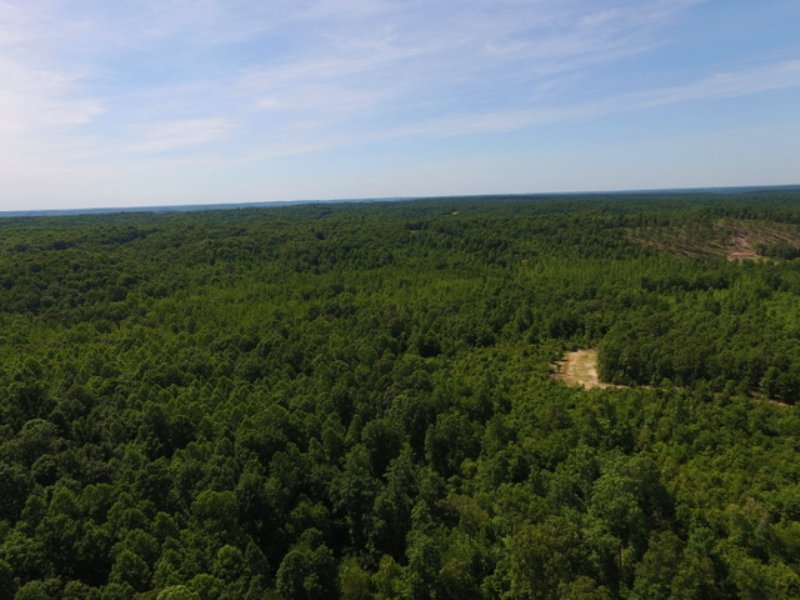 941 Acres : Waverly : Humphreys County : Tennessee