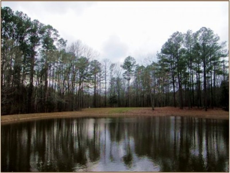 25.5 Acres in Hinds County : Terry : Hinds County : Mississippi
