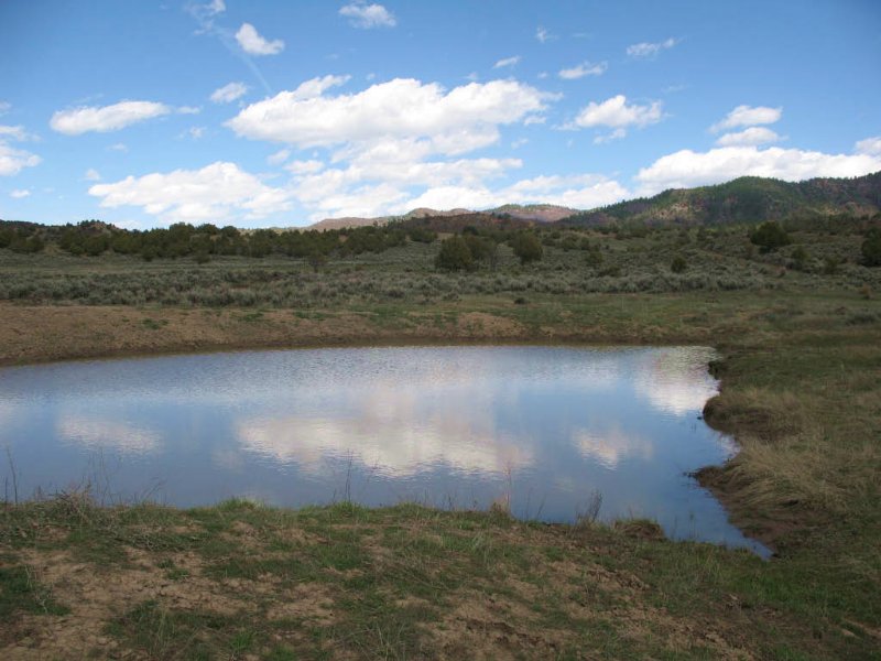 Pinon Hills Ranch - Parcels 44 &Amp : Pagosa Springs : Archuleta County : Colorado