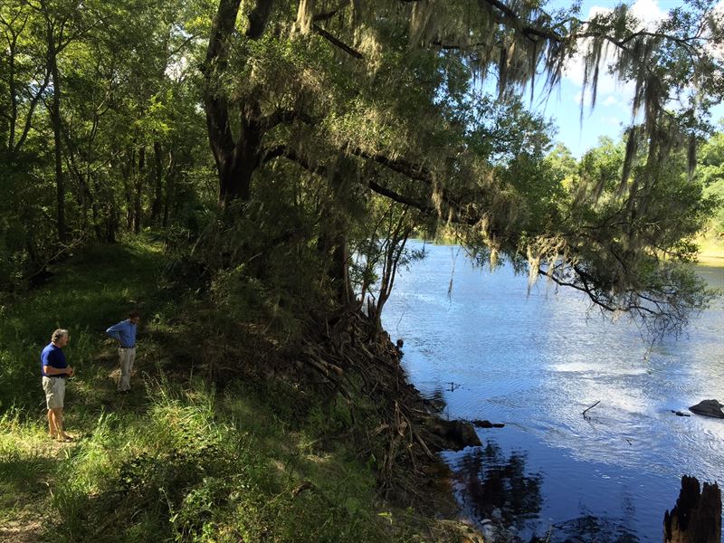 Ace Ranch On The Suwannee River : Mayo : Lafayette County : Florida