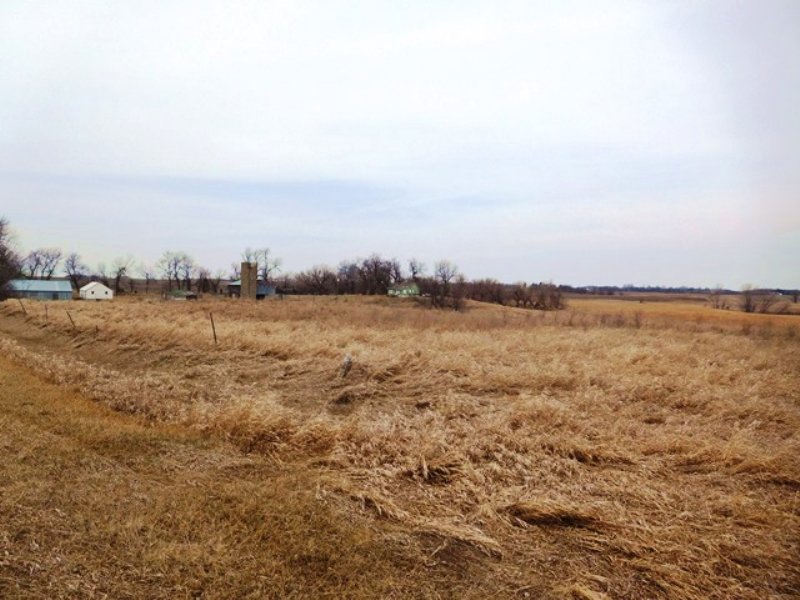 43 Acre Land Auction Near Toronto : Astoria : Deuel County : South Dakota