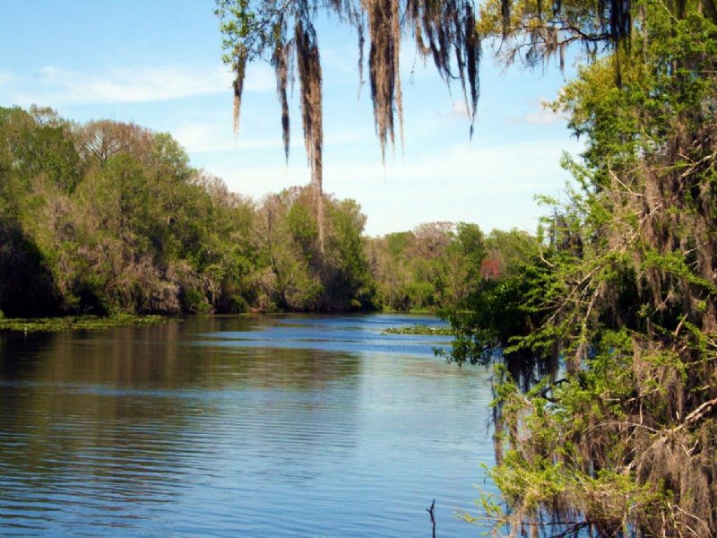 Withlacoochee Development : Bushnell : Sumter County : Florida