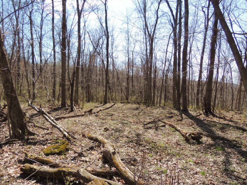 Horns Hill Rd - 22 Acres : Newark : Licking County : Ohio
