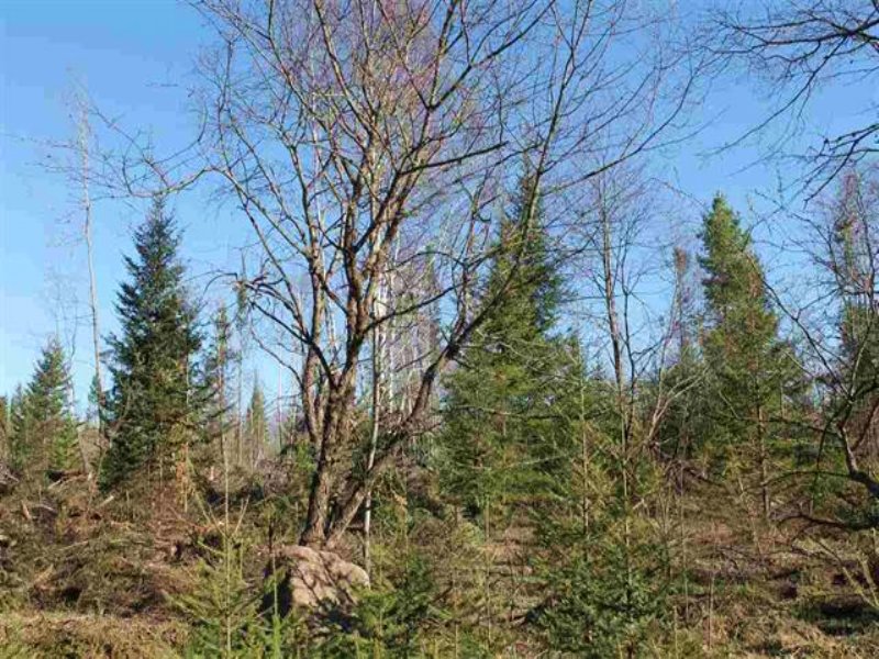 Lot 1 Holli Blue Rd, Mls 1093796 : Michigamme : Marquette County : Michigan