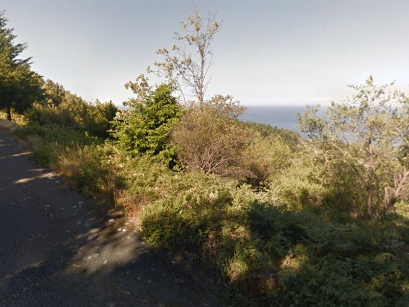 .25 Acres in Shelter Cove, CA : Shelter Cove : Humboldt County : California