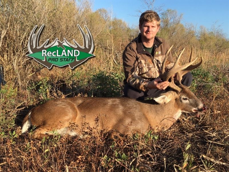 452 Ac - Excellent Deer Hunting, Wr : Delhi : Madison Parish : Louisiana
