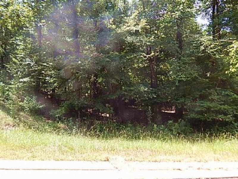 4.6 Acres Comm. in Madison County : Flora : Madison County : Mississippi