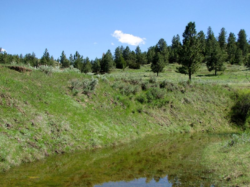 Sarpy Creek 25 : Hysham : Treasure County : Montana