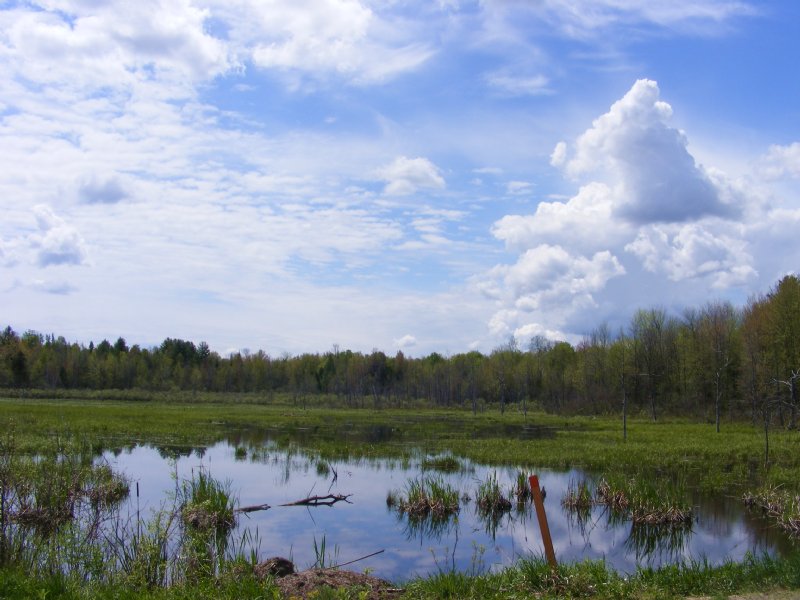On Chamberlain Pond : Louisville : Saint Lawrence County : New York