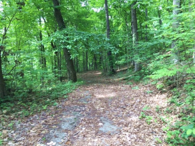 5.00+/- Acres Near Nick-A-Jack Lake : South Pittsburg : Marion County : Tennessee
