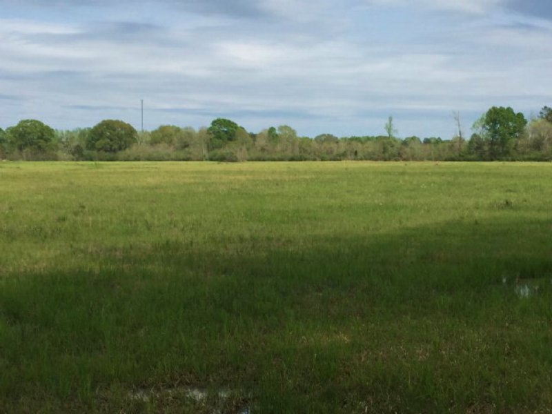 Land for Sale Pasture Land Franklin : Franklinton : Washington Parish : Louisiana