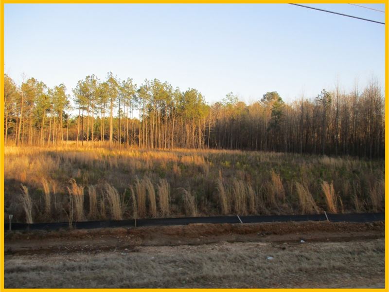 6.5 Acres in Webster County : Mathiston : Webster County : Mississippi