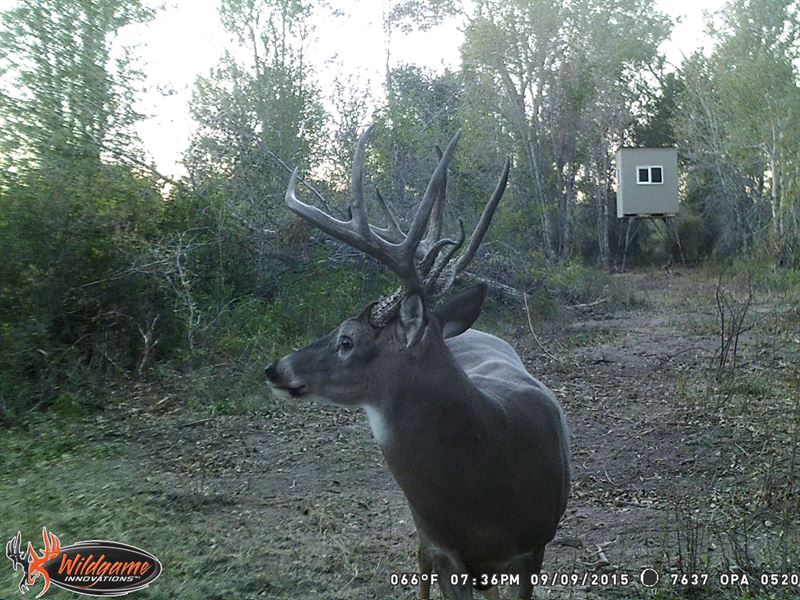 Wind River Hunting Ranch : Ethete : Fremont County : Wyoming