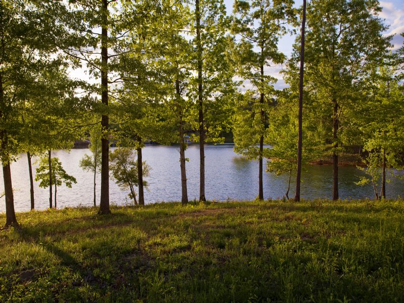 Smith Lake Waterfront Sale : Addison : Winston County : Alabama