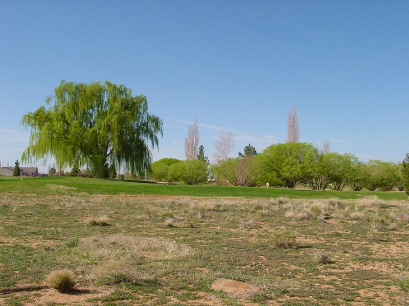 Attn Golf Lovers - Lots Available : Kingman : Mohave County : Arizona