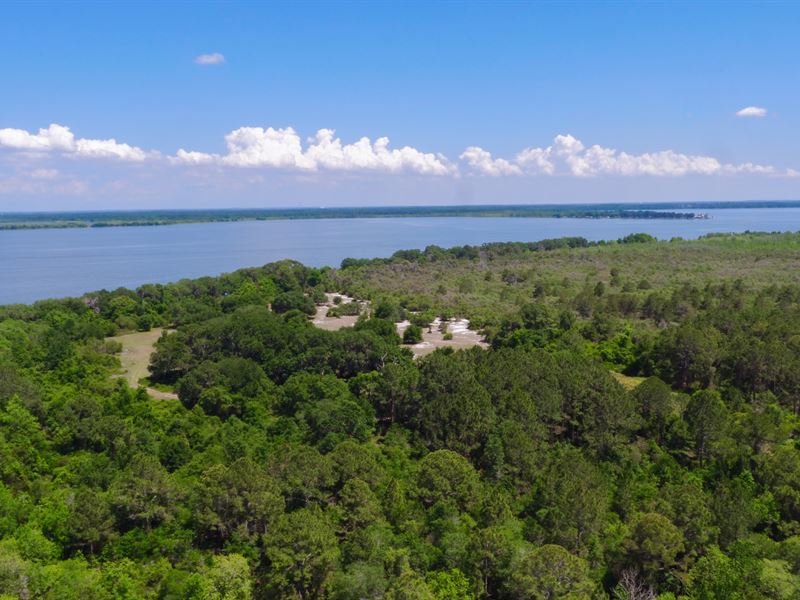 Lake Griffin Preserve : Fruitland Park : Lake County : Florida