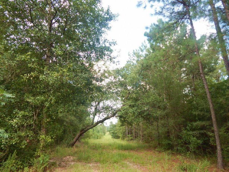 12.34 Acres in Pike County : McComb : Pike County : Mississippi