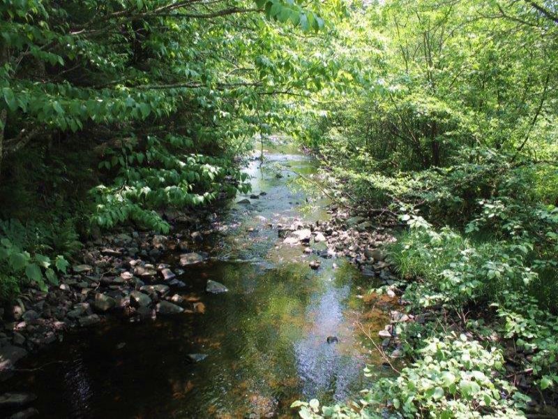 117 Acres Bordering State Forest : Constableville : Lewis County : New York