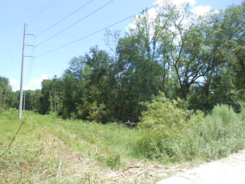 64+ Acres for Future Growth : Live Oak : Suwannee County : Florida