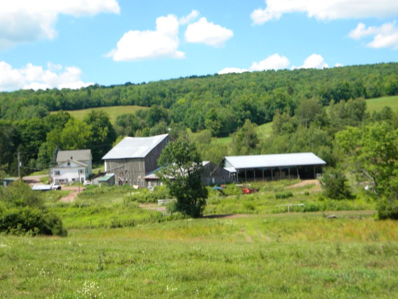 175 Acres Former Dairy Farm Pasture : Bovina : Delaware County : New York