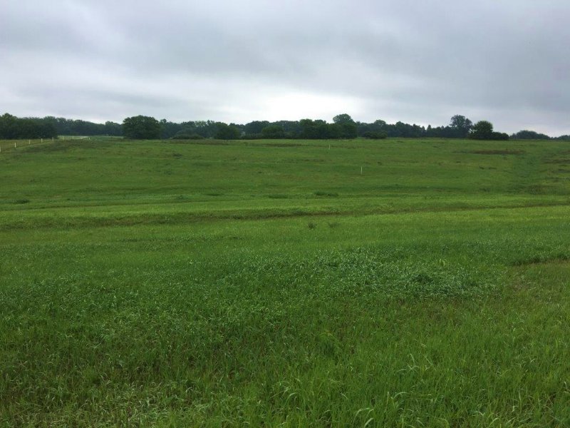 Deer Meadows Acreage Lot : Papillion : Sarpy County : Nebraska