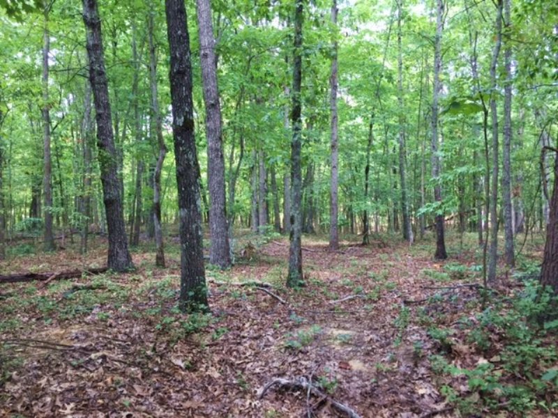 43.95+/- Acres Wooded with Views : Sewanee : Marion County : Tennessee
