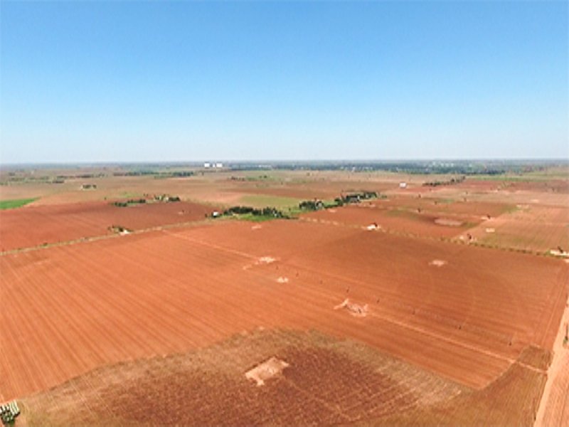 Land Auction: 658+/- Acs, 5 Tracts : Levelland : Hockley County : Texas