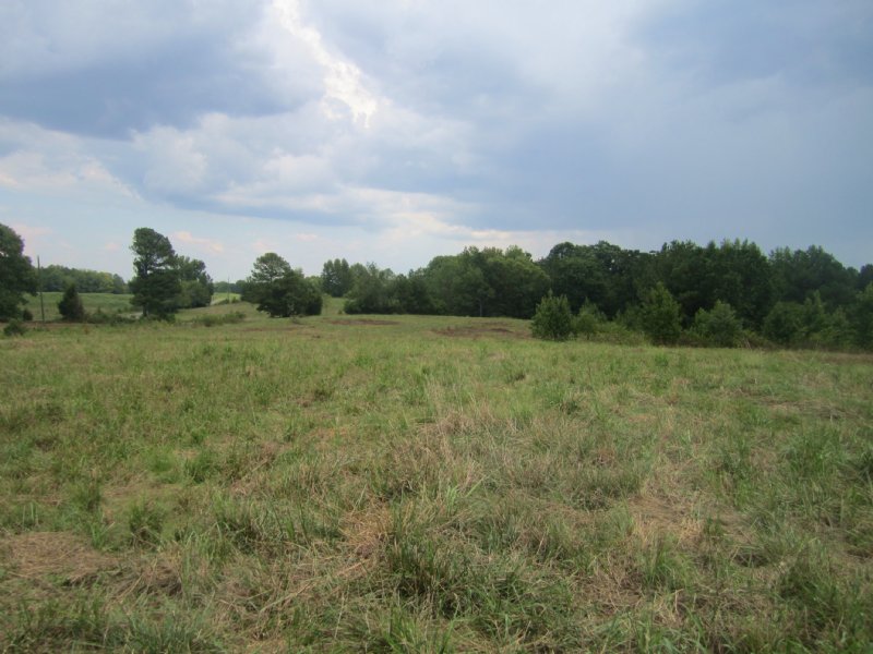 40 Acres Of Pasture Land : Falkville : Morgan County : Alabama