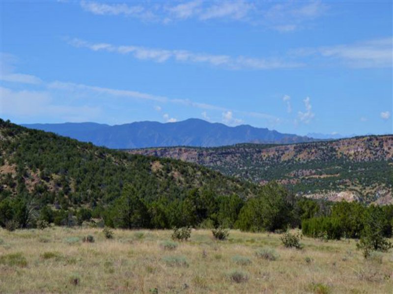 Felch Creek Ranch : Canon City : Fremont County : Colorado