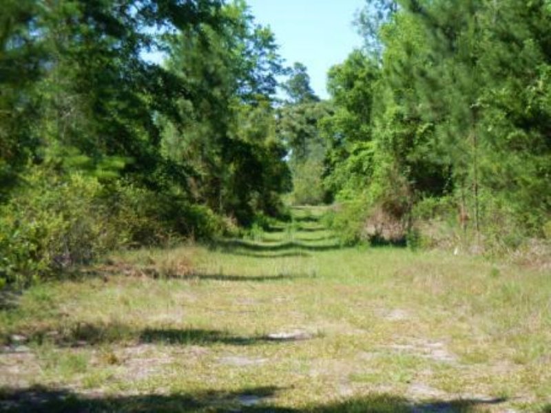 Partially Cleared 4.82 Acres Of Agr : Palatka : Putnam County : Florida