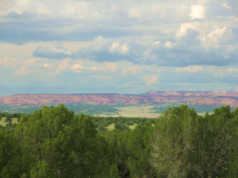 38 Acre Mountain Ranches $260 Mo : Saint Johns : Apache County : Arizona