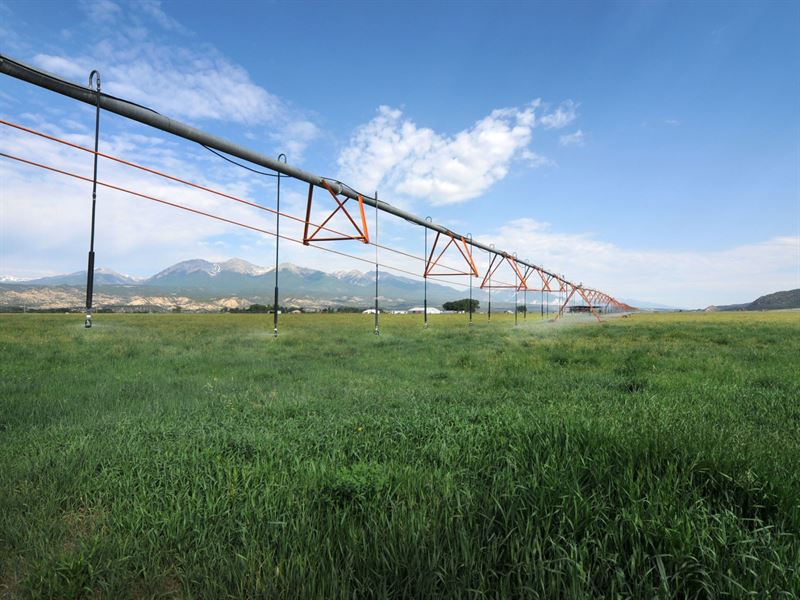 236333 71+ Acres with Water Rights : Salida : Chaffee County : Colorado