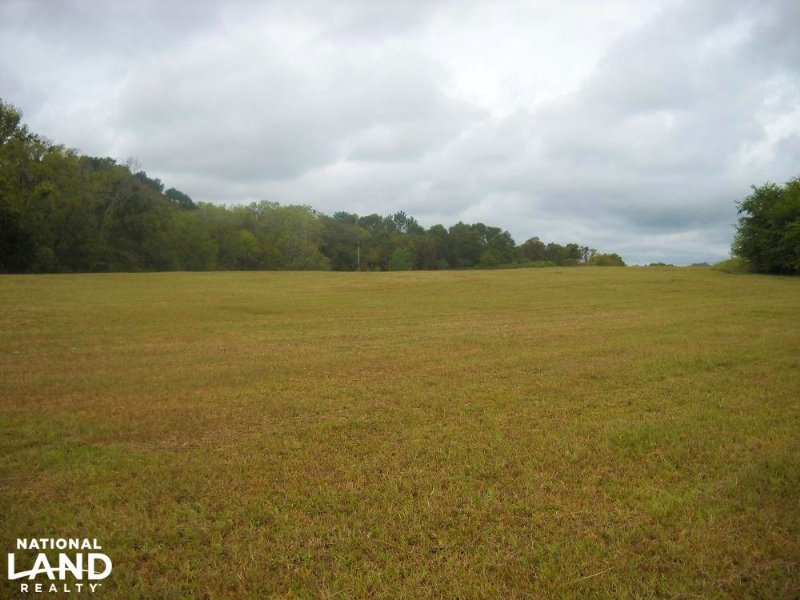 Windhaven Lakes 4.7 Acre Lot : Burkville : Lowndes County : Alabama